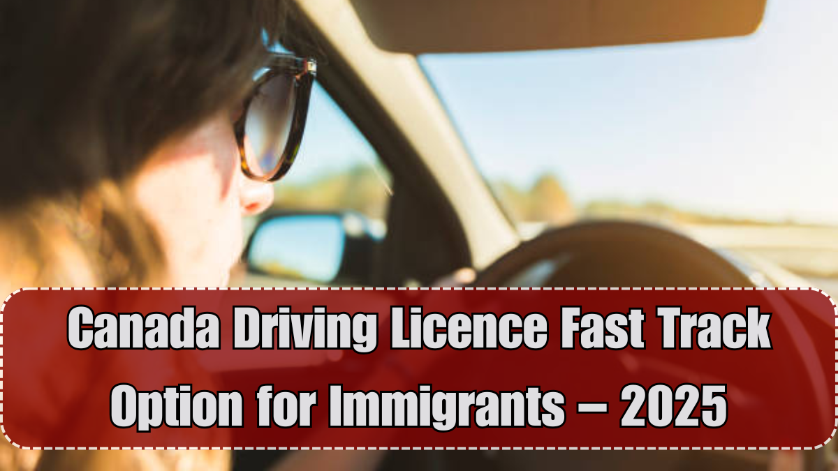 Canada Driving Licence Fast Track Option for Immigrants – 2025
