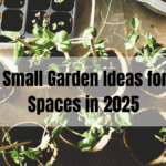 7 Best Small Garden Ideas for Urban Spaces in 2025