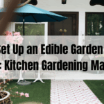 How to Set Up an Edible Garden at Home in 2025: Kitchen Gardening Made Easy