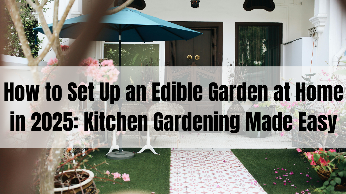 How to Set Up an Edible Garden at Home in 2025: Kitchen Gardening Made Easy