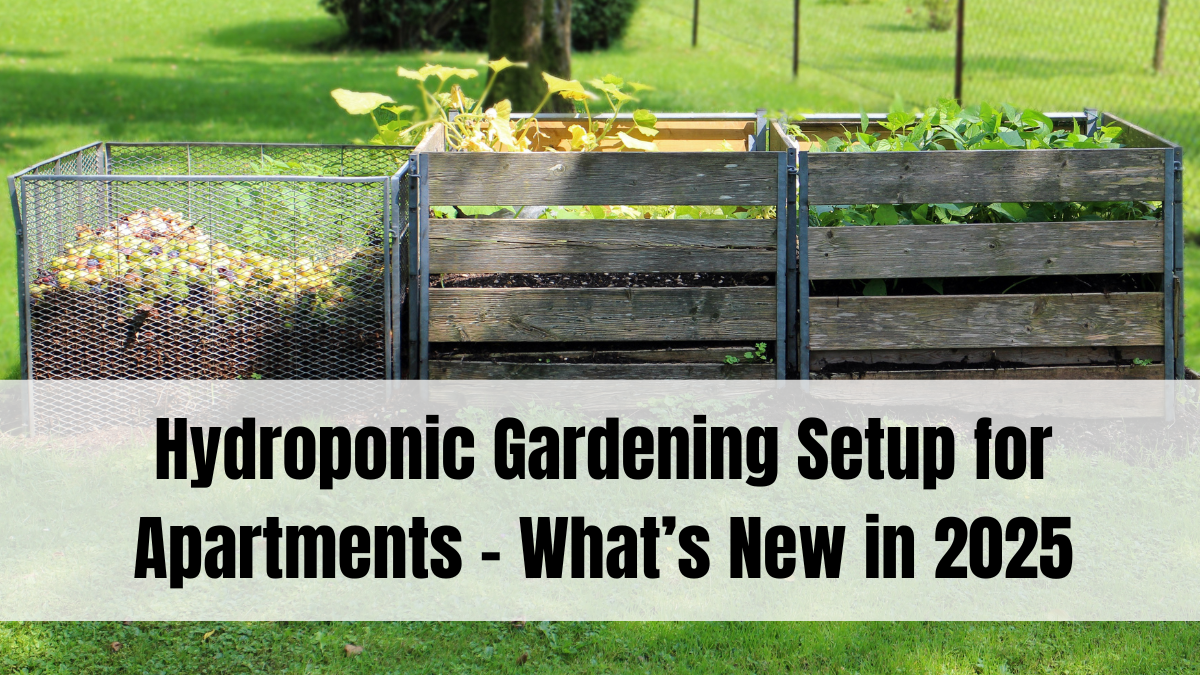 Hydroponic Gardening Setup for Apartments – What’s New in 2025